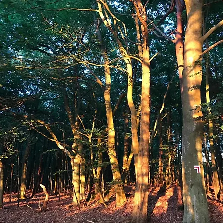 Dworek Debina - Idealny Dla Rodzin I Przyjaciol - Wspolna Sala Do Biesiadowania , Plaza Przyjazna Psom * Debina (Ustka)