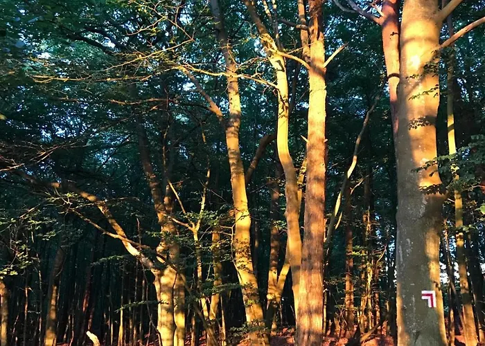 Dworek Debina - Idealny Dla Rodzin I Przyjaciol - Wspolna Sala Do Biesiadowania , Plaza Przyjazna Psom * Debina (Ustka)